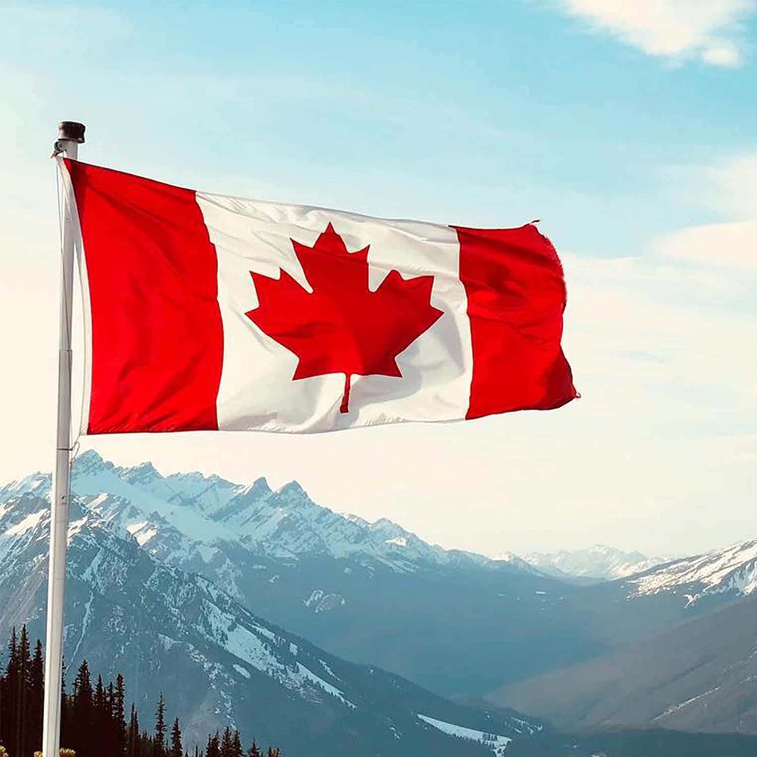 210D Nylon Embroidered Canada Flag 3x5 FT